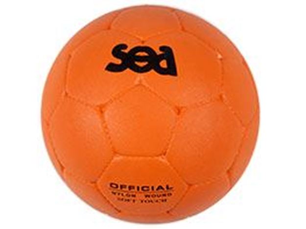 Afbeelding van handbal school composite  1