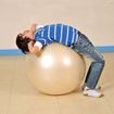 Afbeelding van Fit Ball 55cm