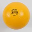 Afbeelding van Handbal SEA edu