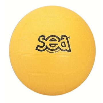 Afbeelding van volleybal - initiatie - SEA -