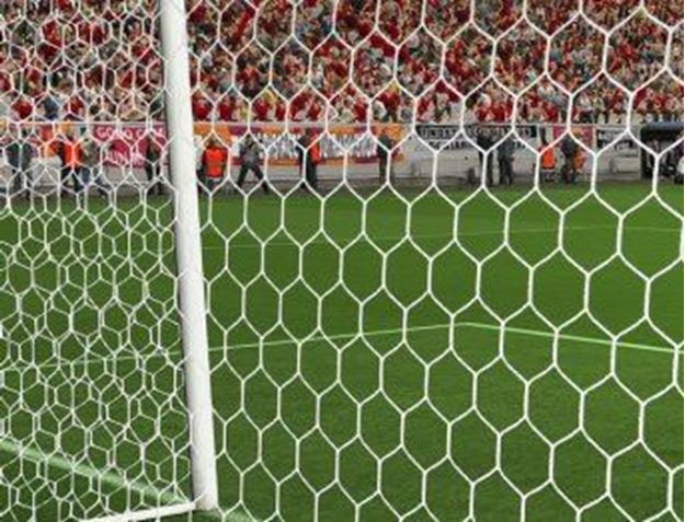 Afbeelding van Doelnetten 7,5x2,5x2x2m - HEXA - 4mm - wit