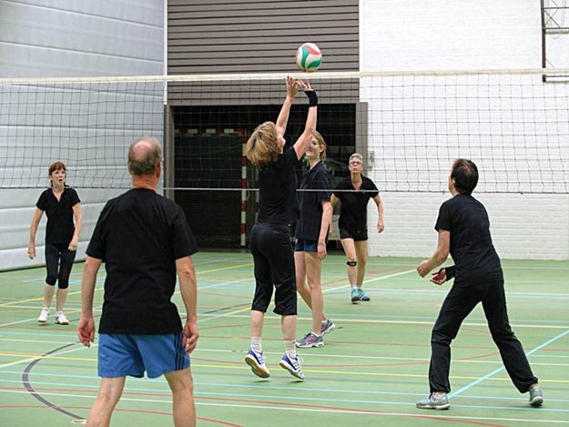 Afbeelding van volleybalnet training 5,7m - 2,5mm - kevlar