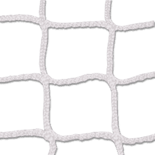Afbeelding van Doelnetten 7,5x2,5x0,8x2m 3mm 45/45 wit