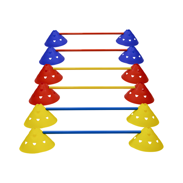 Afbeelding van Kit F: Set van 12 reuze markeerschijven + 6 pvc stokken (100cm)