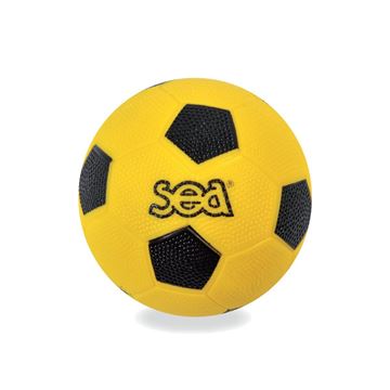 Afbeelding van handbal - initiatie - SEA