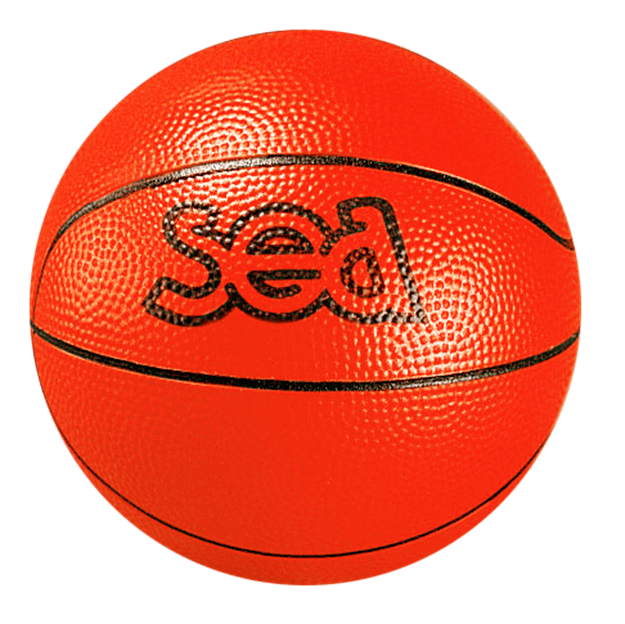 Afbeelding van Basketbal - ontdekking - SEA