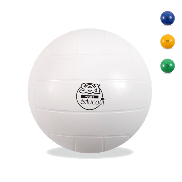 Afbeelding van Volleybal - educatief - SEA