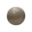 Afbeelding van Fit Ball 55cm