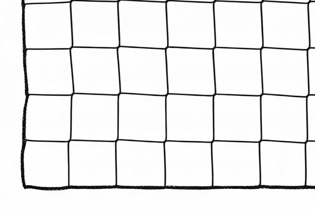 Afbeelding van Ballenvangersnet - PP - 3mm - 25x5- Maas 120mm